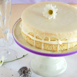 Lavender Chiffon Cake