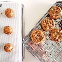 Cowboy Cookies