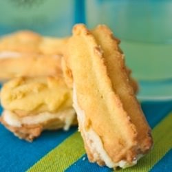 Limoncello Finger Cookies