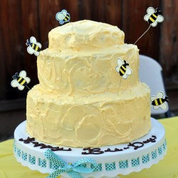 Honey Bee Birthday Cake