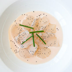 Scallops