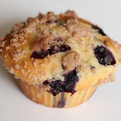 Blueberry Muffins