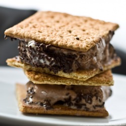 Frozen Smores Ice Cream Sandwiches