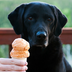 Thai Tea Ice Cream