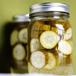 Homemade Dill Pickles