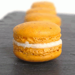 Creamsicle Macarons