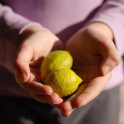 Lemon Chicken!