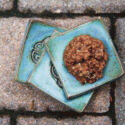 Chocolate Oatmeal Cookies