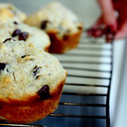 Spice & Everything Nice Muffins