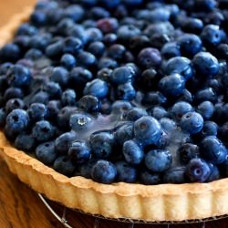 Blueberry Cream Tart