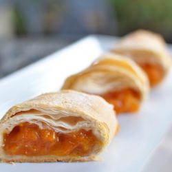 Apricot Phyllo Strudel