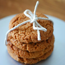 Gingernuts