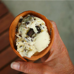 Mint Choc Chip Ice Cream and Cones