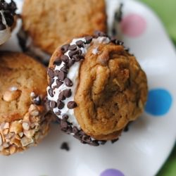 Ice Cream Sandwiches