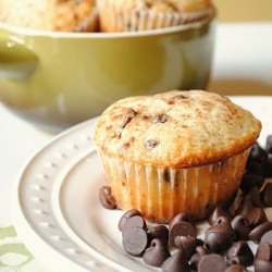 Chocolate Chip Muffins