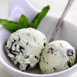 Mint Chip Gelato