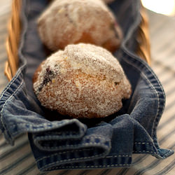 Blueberry Lemon Muffins