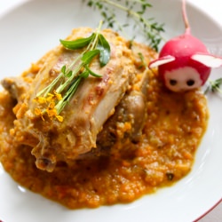 Lemon Rabbit Ragout