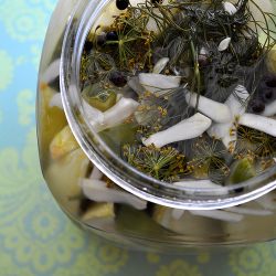 24 Hour Dill Pickles