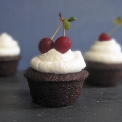 Mini Black Forrest Cake