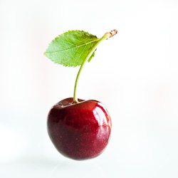 Cherry Clafoutis