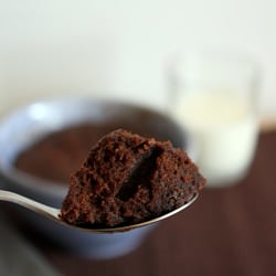 Chocolate Cake in Five Minutes!