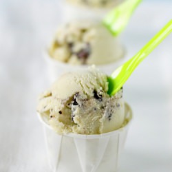 Mint Chip Ice Cream