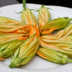 Squash Blossoms