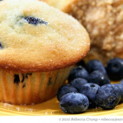 Barefoot Blueberry Muffin Throwdown