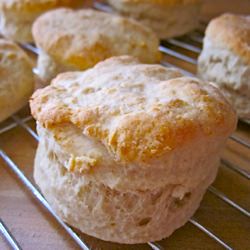 Basic Biscuits