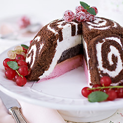 Swiss Swirl Ice Cream Cake