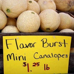 DC Farmers Market
