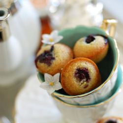 Financier Nature