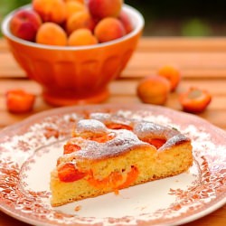 Quick Cake with Apricots