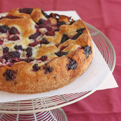 Berry Cake – Best Summer Fruitcake!
