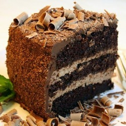Chocolate Mousse Cake