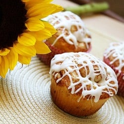 Cinnamon Roll Muffins + Giveaway