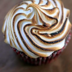 S’mores Cupcakes