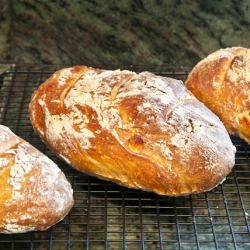 Crusty, No-Knead Artisan Bread