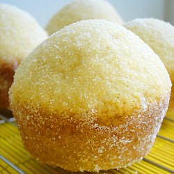 Sugar Donut Muffins