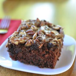 Zucchini Chocolate Fudge Snack Cake
