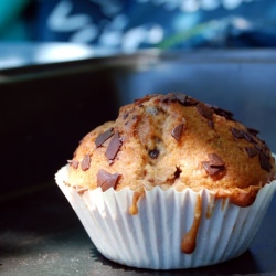 Chocolate Chip Muffin
