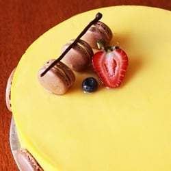 Mango Chocolate Mousse Cake