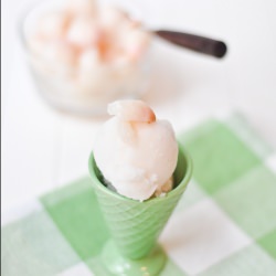 Lychee Sorbet