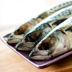 Fillets of Mackerel, Romesco Sauce