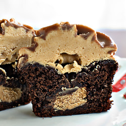 Dangerously Decadent Cupcakes