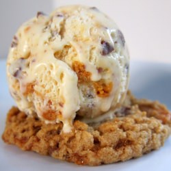 Butter Crunch Greek Yogurt IceCream