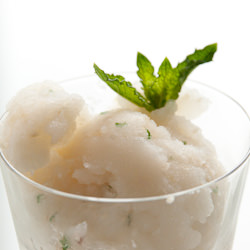 Lychee Sorbet