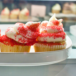 Sleeping Cupcakes
