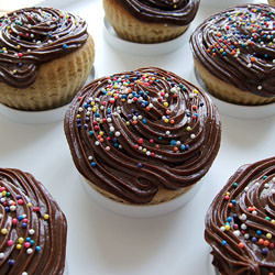 Chocolate Filled Vanilla Cupcakes